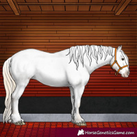 Horse Color:Chocolate Palomino Varnish 