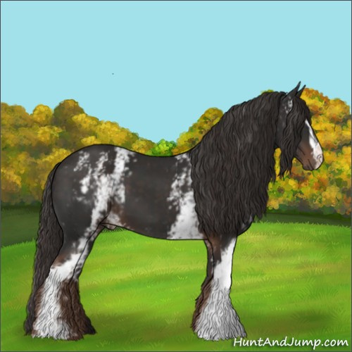 Horse Color:White Spotted Liver Chestnut 