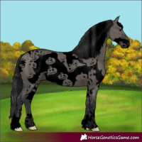 Horse Color:Void White Spotted Grullo Frame 