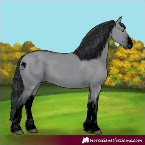Horse Color:Void White Spotted Grullo Chinchilla 