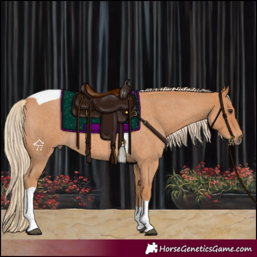 Horse Color:Red Roan Tobiano 