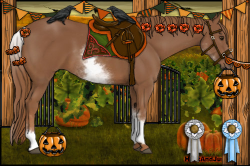 Horse Color:White Spotted Chestnut Sabino 