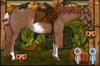 Horse Color:White Spotted Chestnut Sabino