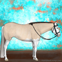 Horse Color:Amber Champagne Dun Splash Rabicano