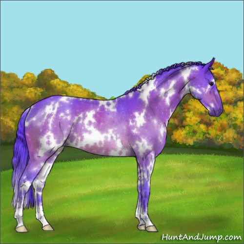 Horse Color:Watercolor White Spotted Brown Sabino Rabicano