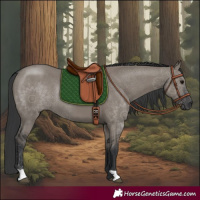 Horse Color:Grullo 