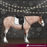 Horse Color:Bay Roan Sabino Rabicano