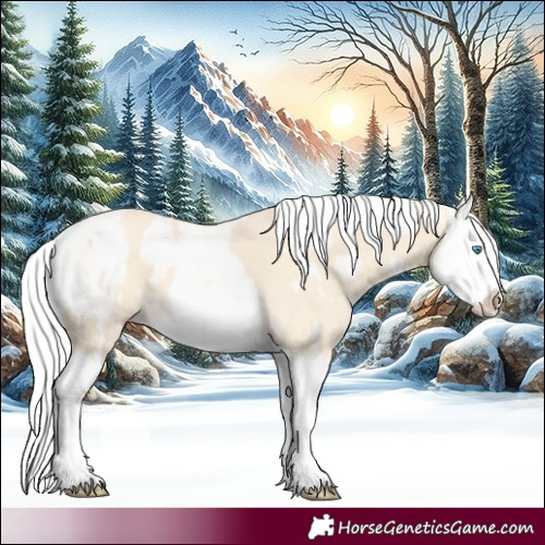 Horse Color:Cremello Splash  and Cremello Splash 