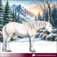 Horse Color:Cremello Splash  and Cremello Splash 