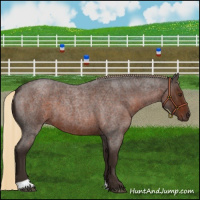 Horse Color:Liver Red Roan 