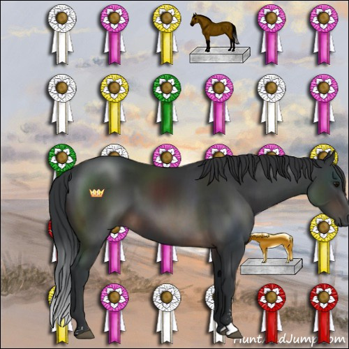 Horse Color:Brown Sabino