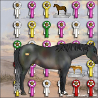 Horse Color:Brown Sabino 