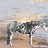 Horse Color:Black Sabino