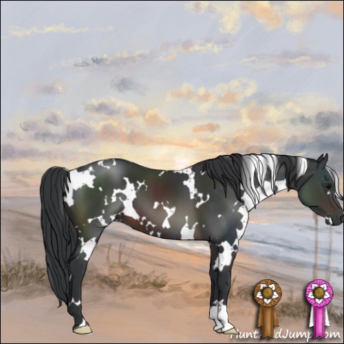 Horse Color:White Spotted Brown 