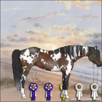 Horse Color:White Spotted Brown 