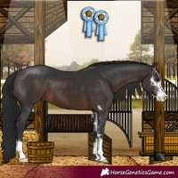 Horse Color:Brown Sabino