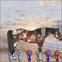 Horse Color:White Spotted Brown 