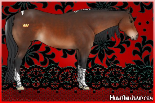 Horse Color:Brown Sabino Tobiano
