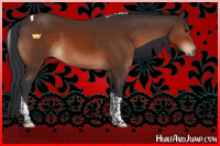 Horse Color:Brown Sabino Tobiano