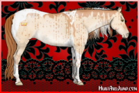 Horse Color:Brown Pearl Dun Sabino Tobiano Brindle