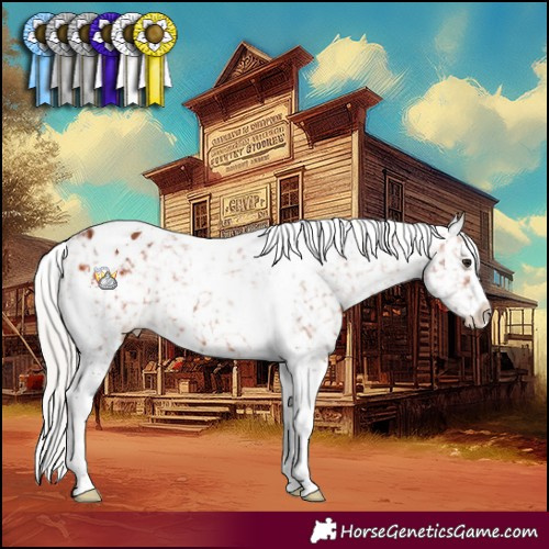 Horse Color:Silver Bay Sabino Tobiano Snowflake Varnish