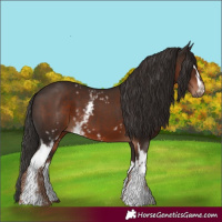 Horse Color:White Spotted Liver Chestnut 