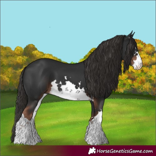 Horse Color:White Spotted Liver Chestnut 