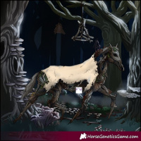 Horse Color:Buckskin Dun Splash 