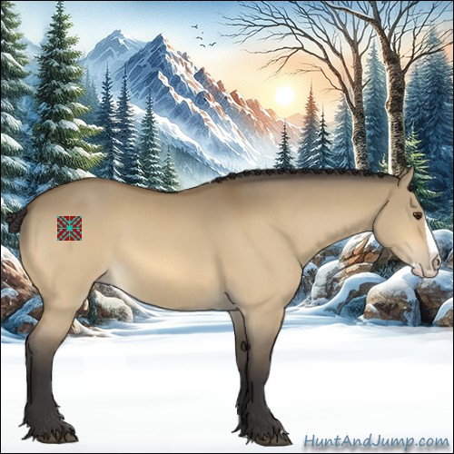 Horse Color:Buckskin Dun Splash 