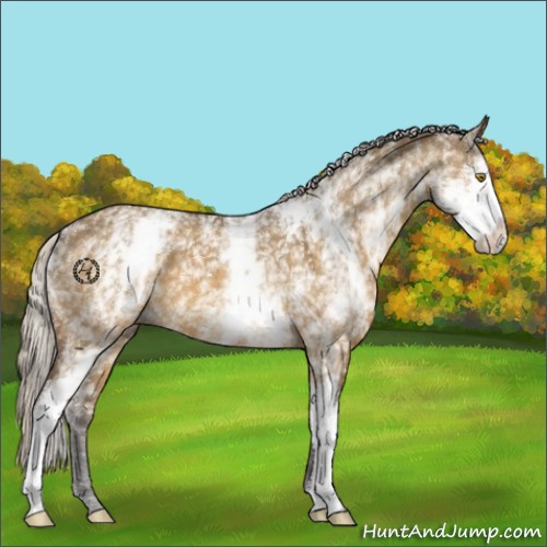 Horse Color:White Spotted Silver Buckskin Dun 