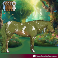 Horse Color:Watercolor White Spotted Chestnut Rabicano 