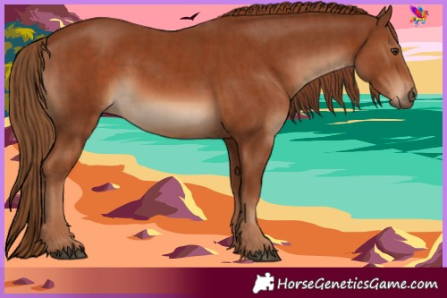 Horse Color:Chestnut  and Chestnut 