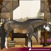 Horse Color:Buckskin Sabino