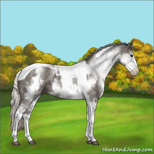 Horse Color:White Spotted Silver Black Tobiano