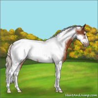 Horse Color:Silver Brown Tobiano Frame 