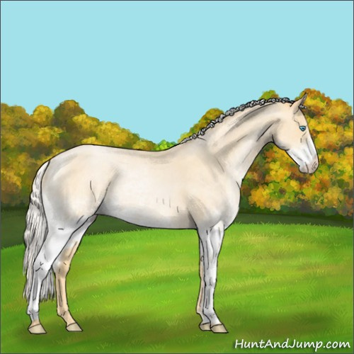Horse Color:White Spotted Silver Buckskin Roan Pearl