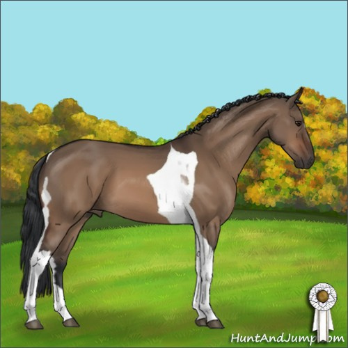 Horse Color:Brown Dun Tobiano