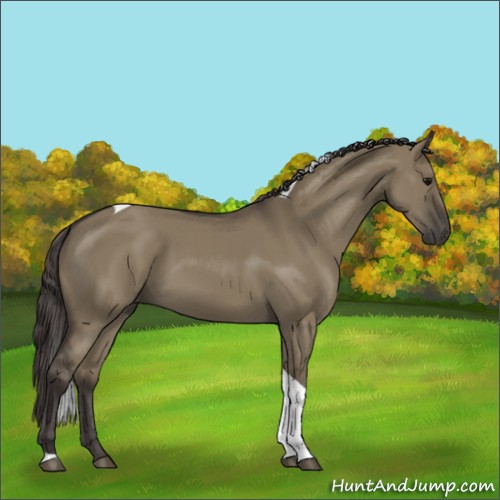 Horse Color:Smoky Grullo Tobiano 