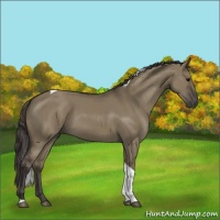 Horse Color:Smoky Grullo Tobiano 