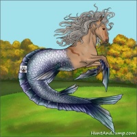 Horse Color:Silver Bay Dun