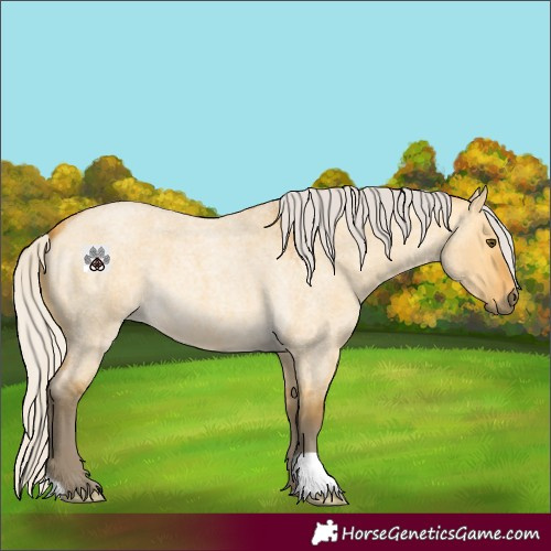 Horse Color:Silver Buckskin Roan Dun 