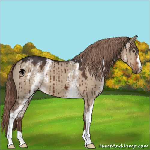 Horse Color:White Spotted Liver Red Dun Brindle 