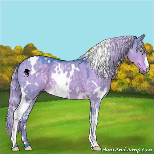 Horse Color:Watercolor White Spotted Chocolate Palomino Dun 