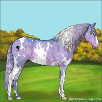 Horse Color:Watercolor White Spotted Chocolate Palomino Dun 