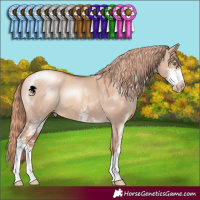 Horse Color:Gold Champagne Dun Sabino