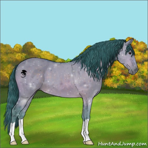 Horse Color:Watercolor Brown Dun 