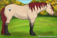 Horse Color:Painted Bay Dun