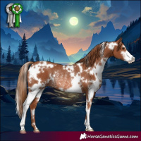 Horse Color:White Spotted Chestnut Sabino Rabicano 
