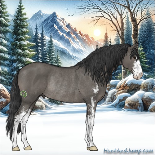 Horse Color:Grullo Sabino Rabicano Brindle
