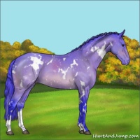 Horse Color:Watercolor White Spotted Buckskin Sabino Varnish